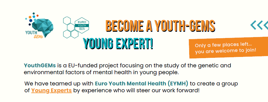 Recruitment Flyer Young Experts