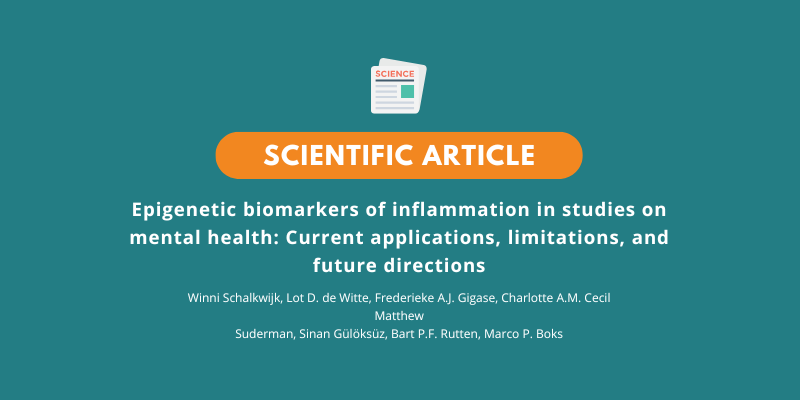 Epigenetic biomarkers of inflammation in studies on mental health: Current applications, limitations, and future directions